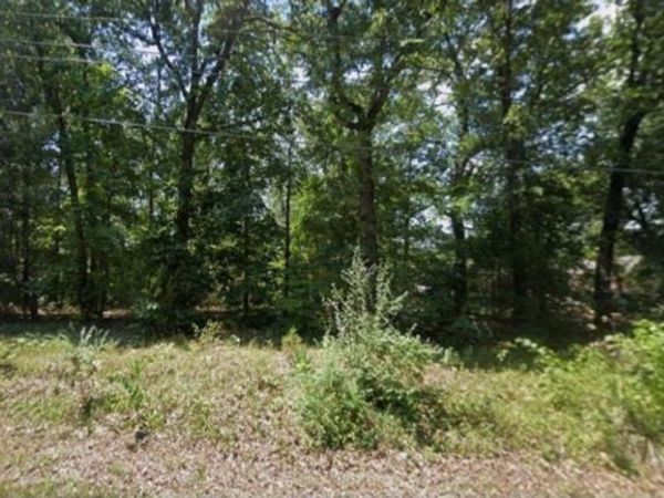 Lot 10 Powhatan Drive, Cherokee Village, AR 72529