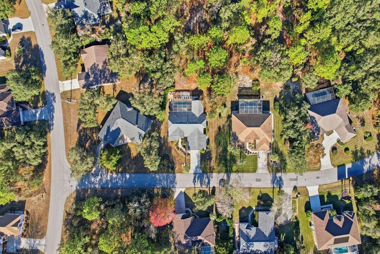 3 Ipomoea Court, Homosassa, FL 34446 Photo