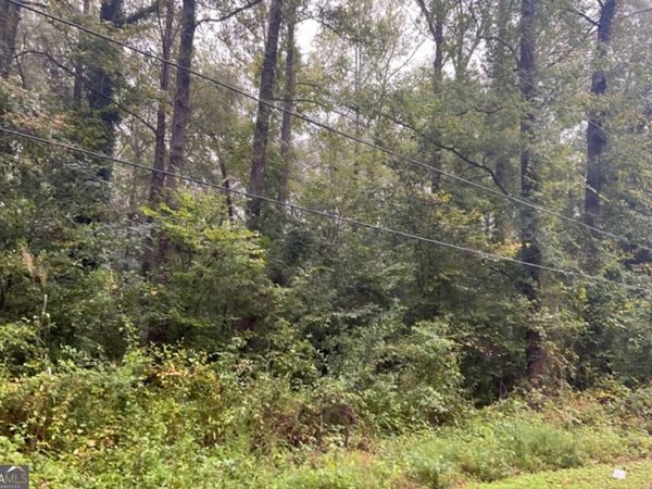 116 Tasha Road, Ivey, GA 31031