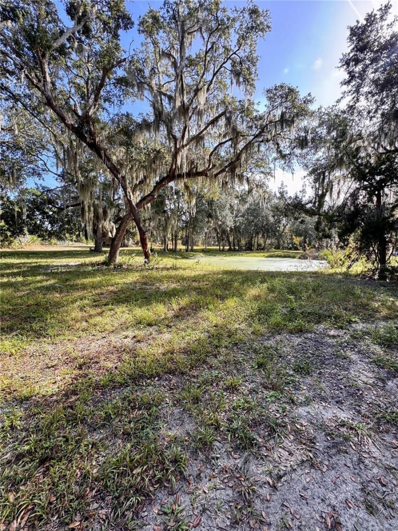 480 Clinton Cemetery Road, Edgewater, FL 32141 Photo