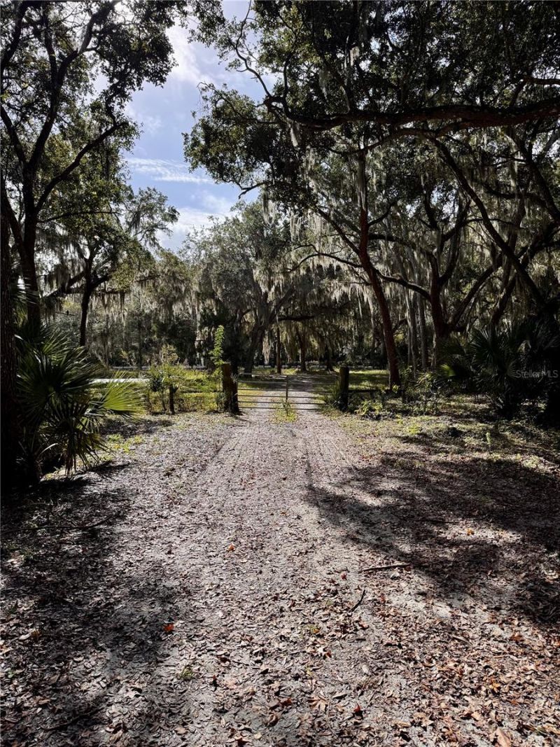 480 Clinton Cemetery Road, Edgewater, FL 32141 Photo