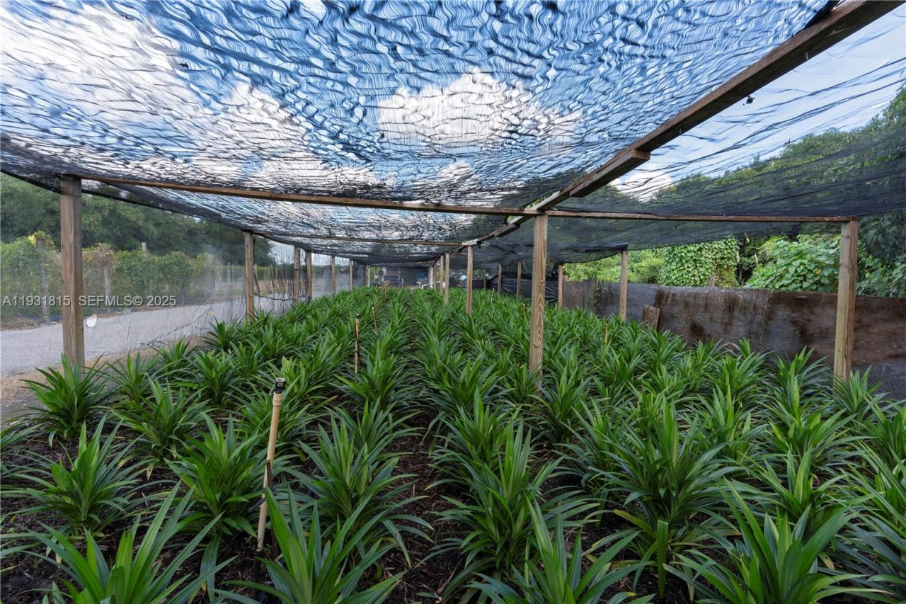 21955 SW 264th St, Homestead, FL 33031 Photo