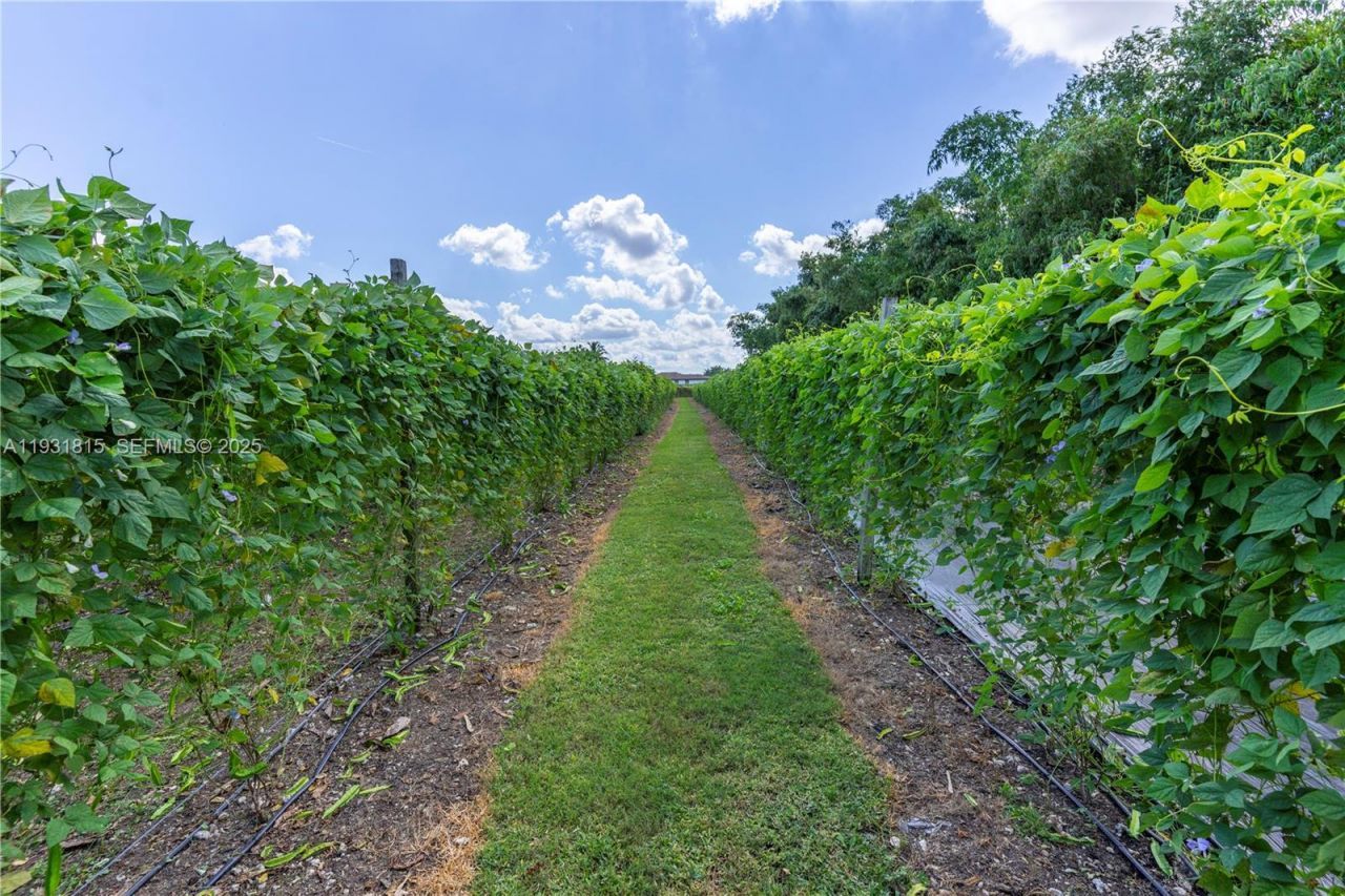 21955 SW 264th St, Homestead, FL 33031 Photo