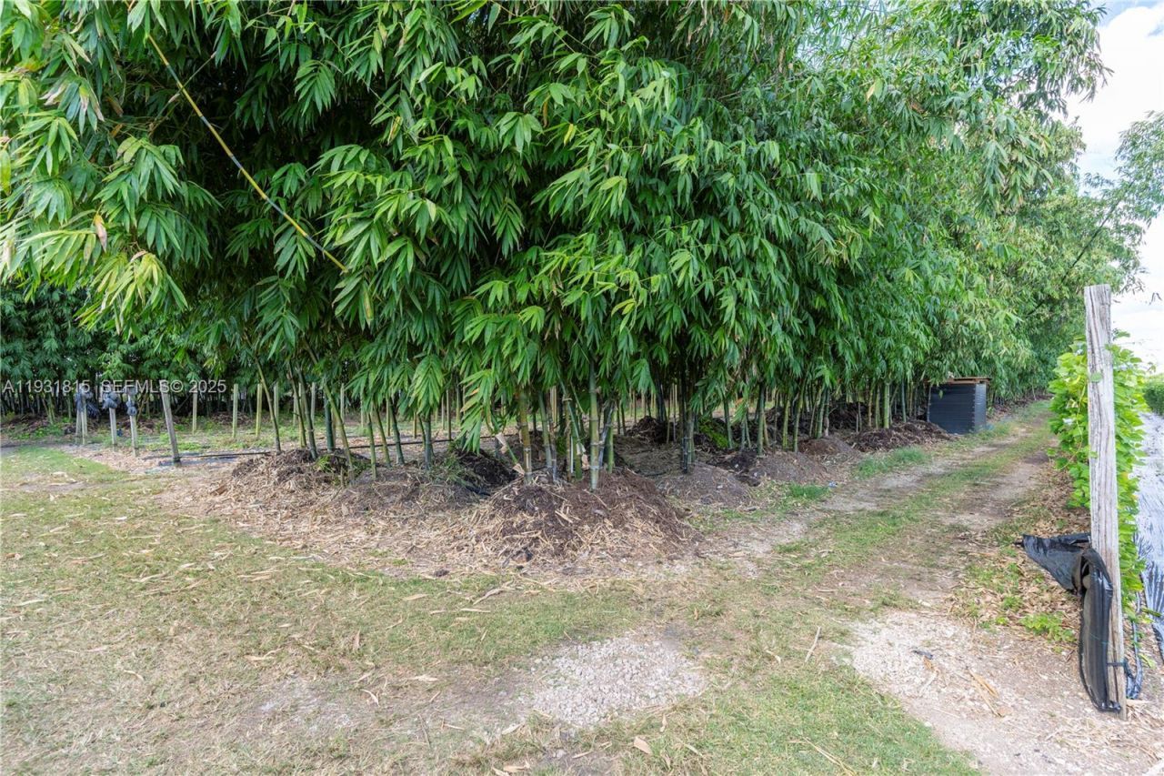 21955 SW 264th St, Homestead, FL 33031 Photo