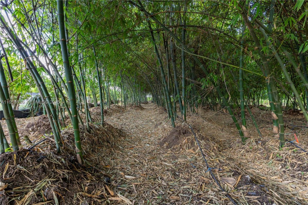 21955 SW 264th St, Homestead, FL 33031 Photo