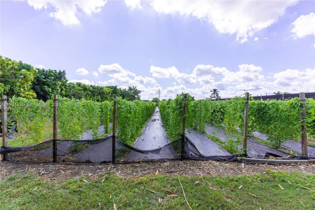 21955 SW 264th St, Homestead, FL 33031 Photo