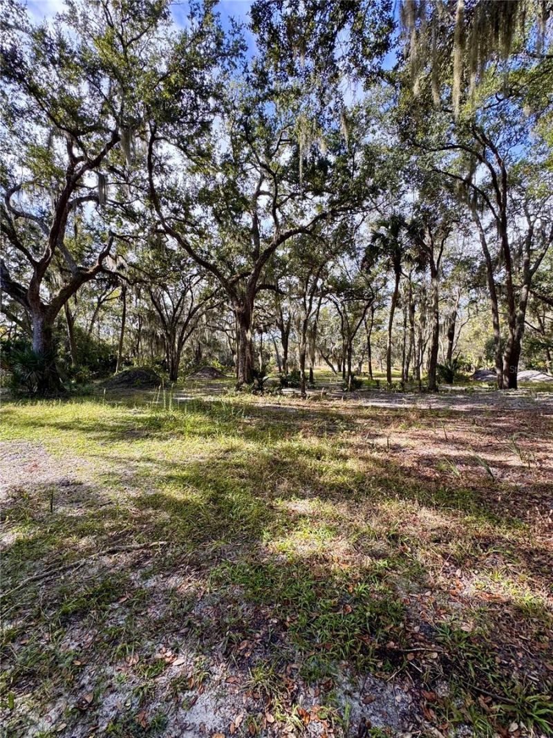 0 Clinton Cemetery Rd., Edgewater, FL 32141 Photo