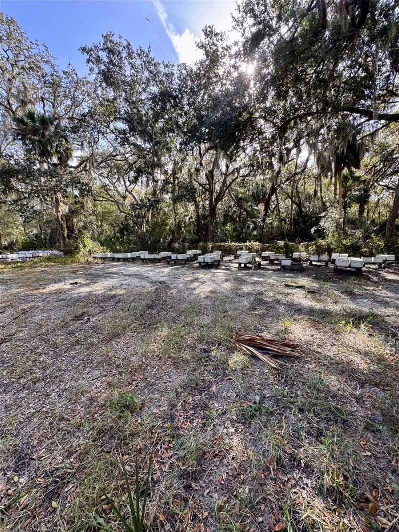 0 Clinton Cemetery Rd., Edgewater, FL 32141 Photo