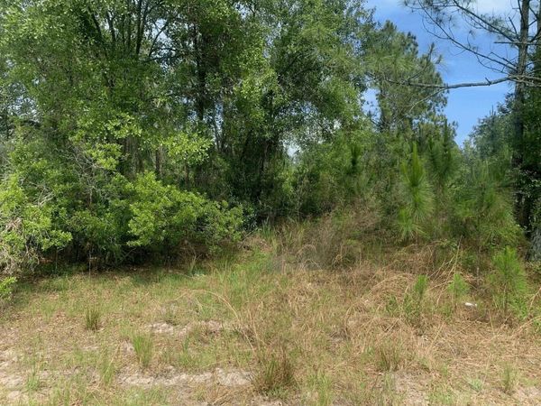 0 County RD 54 E, Kathleen, FL 33849