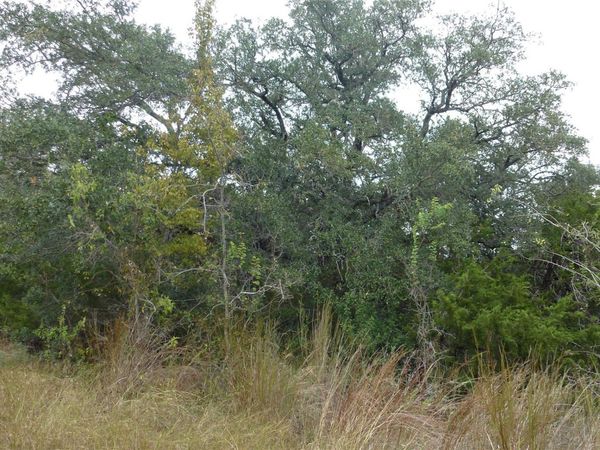 20815 Rawhide TRL, Lago Vista, TX 78645