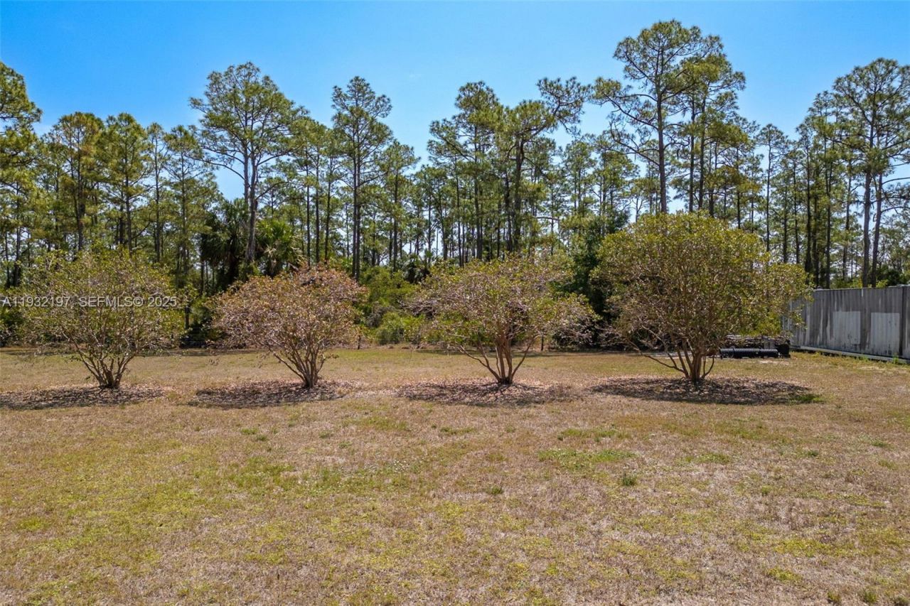1083 Pollywog Dr., Labelle, FL 33935 Photo