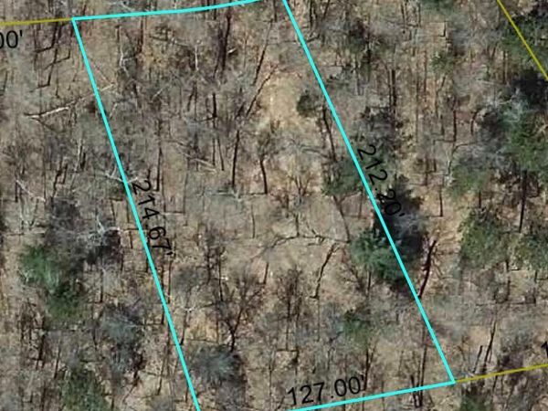 Lot 26 Deer Lodge Trail Way, Danbury, WI 54830