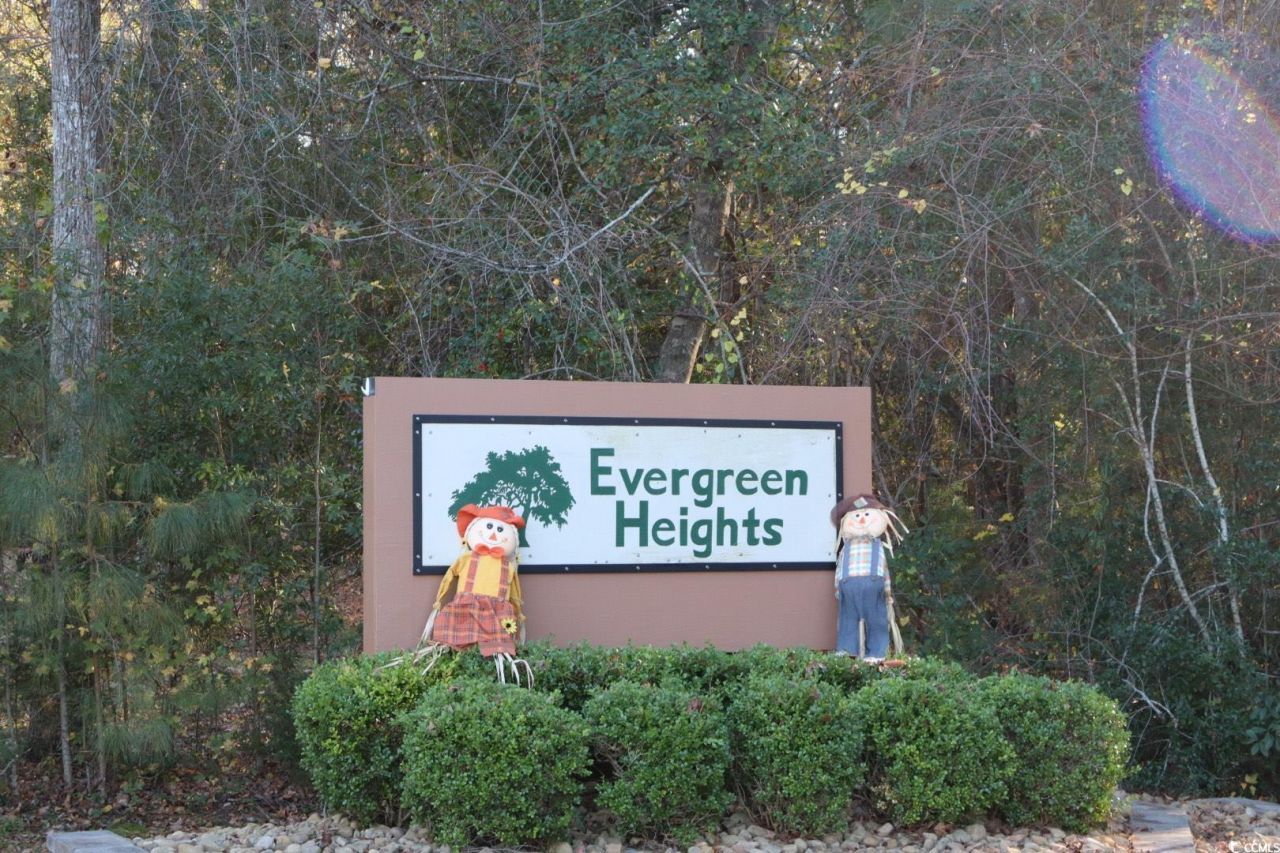 Tbd Live Oak Rd. Photo 4