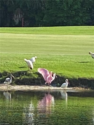 2417 Wulfert Rd, Sanibel, FL 33957 Photo