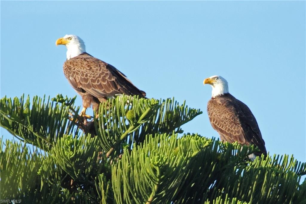 2417 Wulfert Rd, Sanibel, FL 33957 Photo