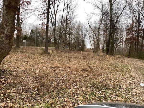 Lot 1 & 2 John Prine Avenue, Drakesboro, KY 42337