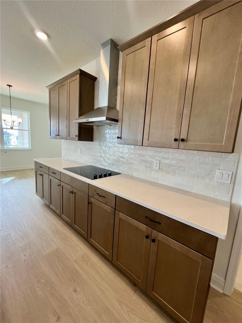 2200 Keystone Pass Pass, Minneola, FL 34715 Photo