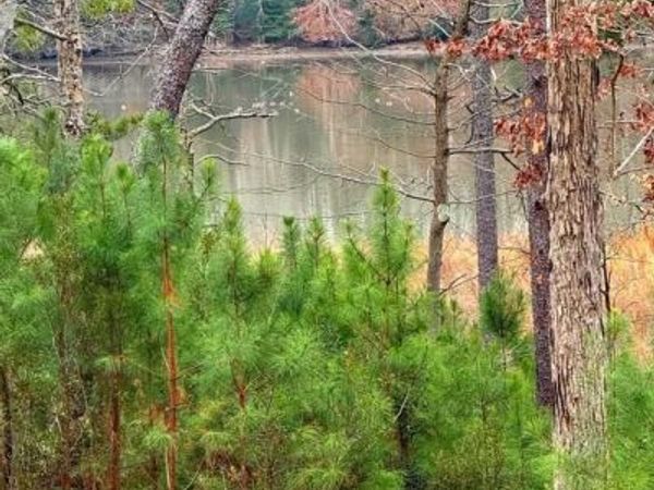 4 SEAGRASS COURT, KING GEORGE, VA 22485