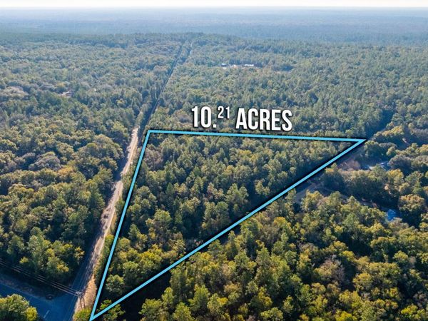 10+ AC Broxson Road, Holt, FL 32564