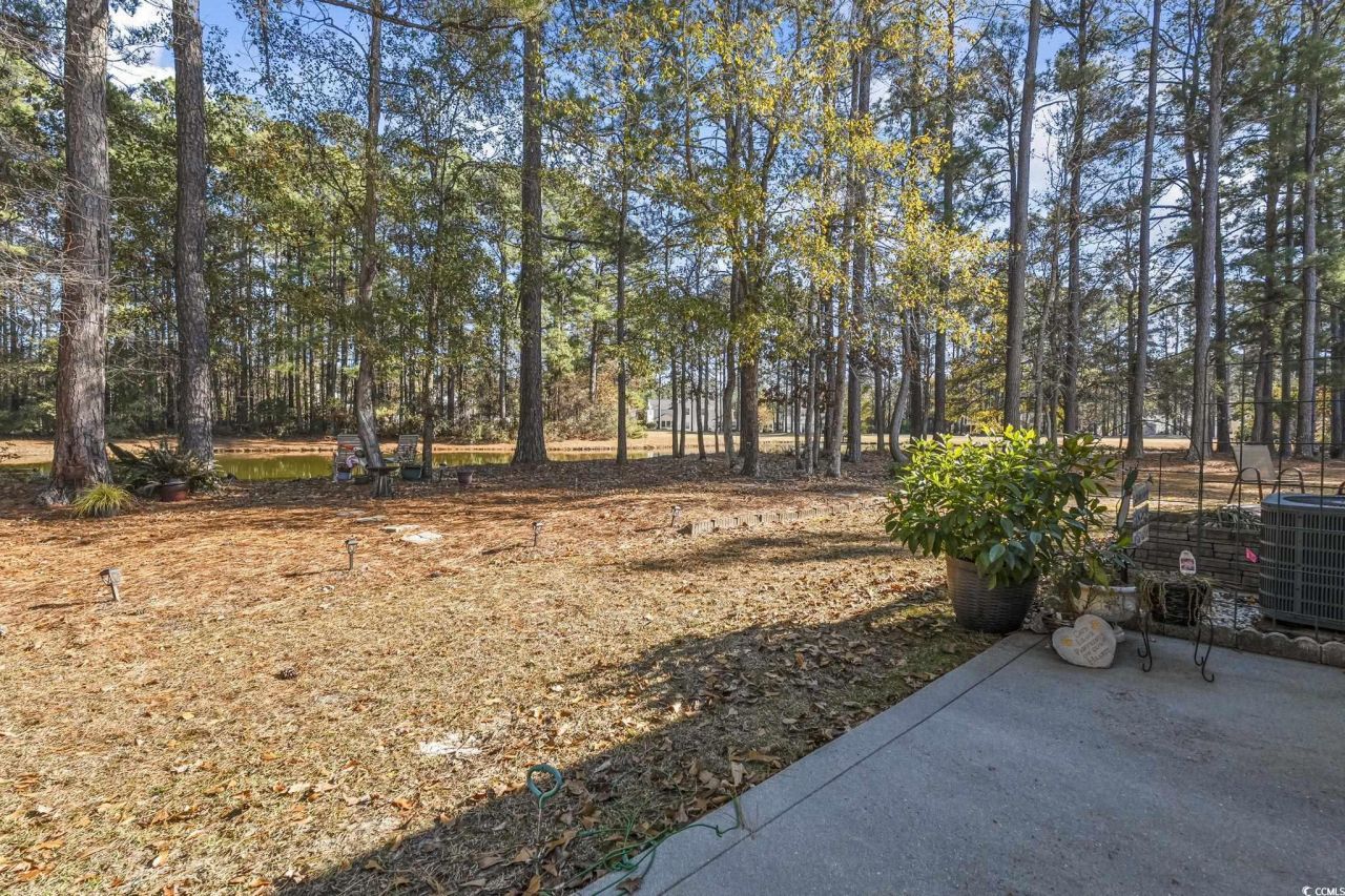 510 Colonial Trace Dr. Photo 17