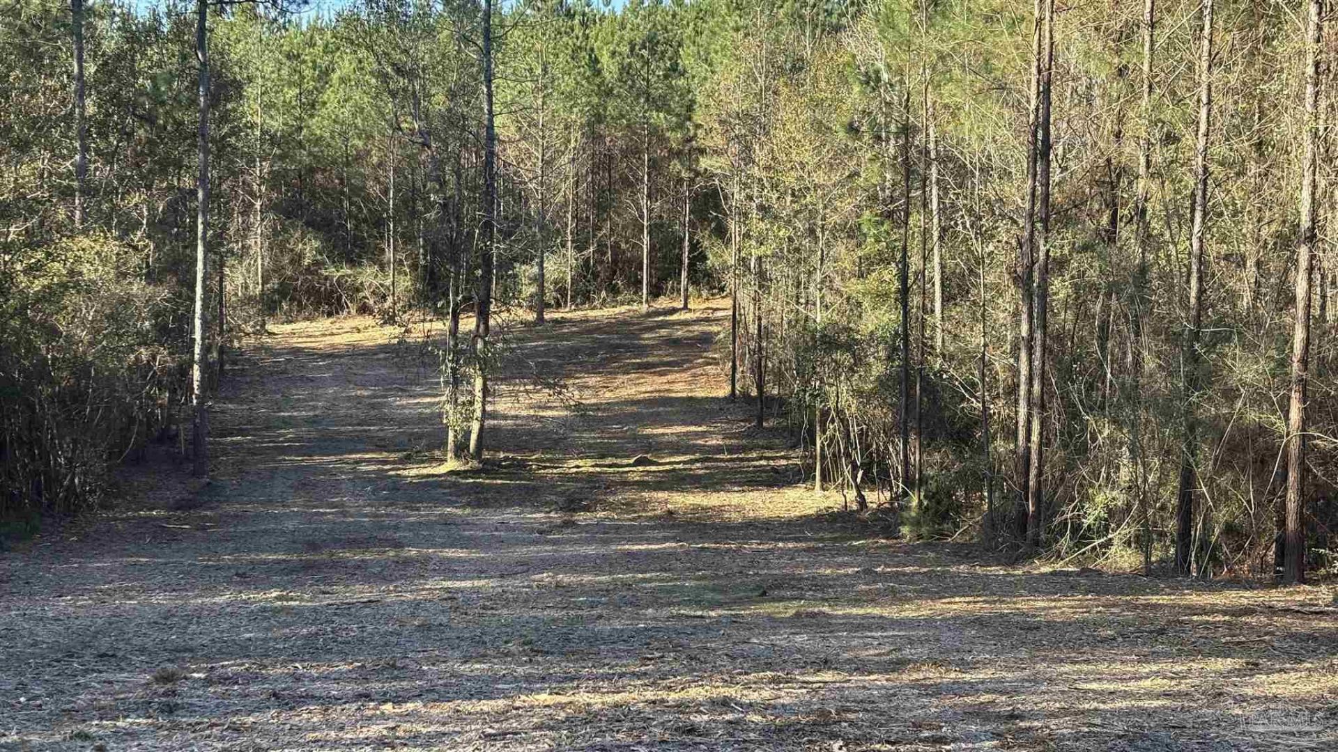 Lot 55 Straw Bridge Rd, Allentown, FL 32565 Main Photo