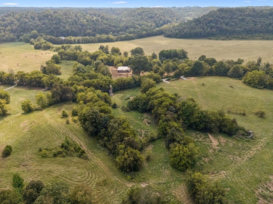 Property Image 9