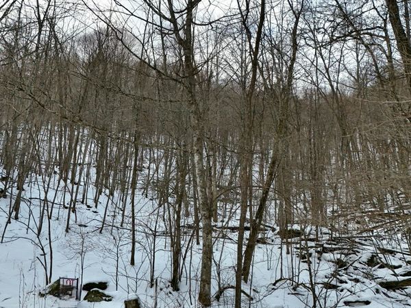 Lot D2 Gobblers Lane, Hillsboro, WV 24946