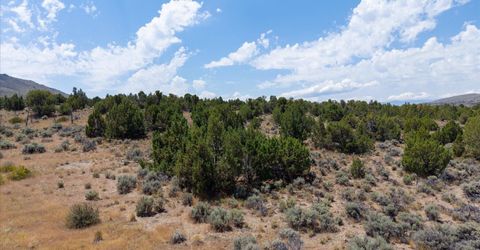 1230 Deerlodge Road, Reno, NV 89508 Photo