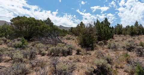 1230 Deerlodge Road, Reno, NV 89508 Photo
