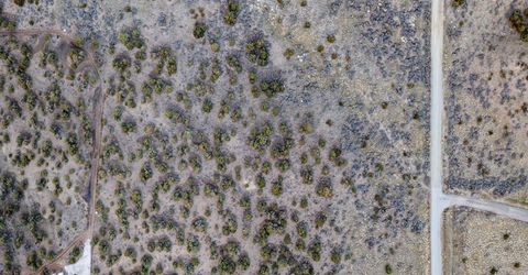 1230 Deerlodge Road, Reno, NV 89508 Photo