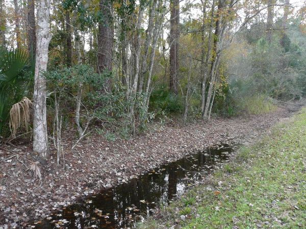 0 Old Deland Road, Daytona Beach, FL 32124