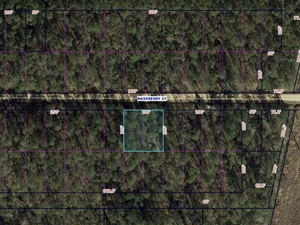 0 Naseberry Street, Bay Saint Louis, MS 39520
