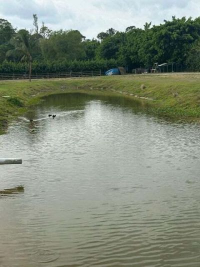 3525 D Rd Road, Loxahatchee Groves, FL 33470 Photo