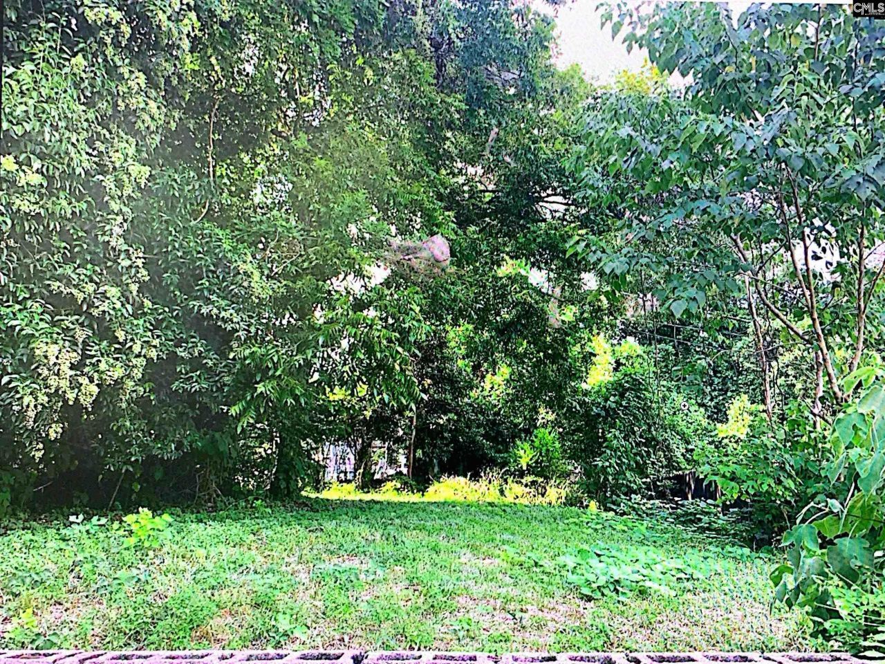 2313 Greene Street  Photo 5