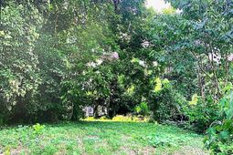 2313 Greene Street  photo 4