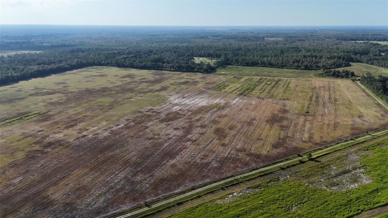 216ac NE 85th Ave Rd, Citra, FL 32113 Photo