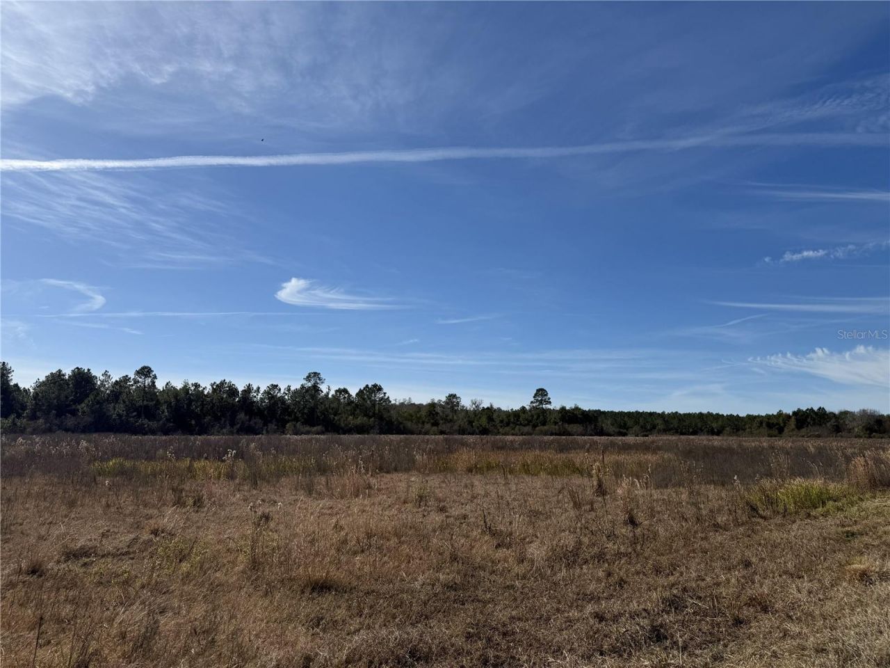216ac NE 85th Ave Rd, Citra, FL 32113 Photo