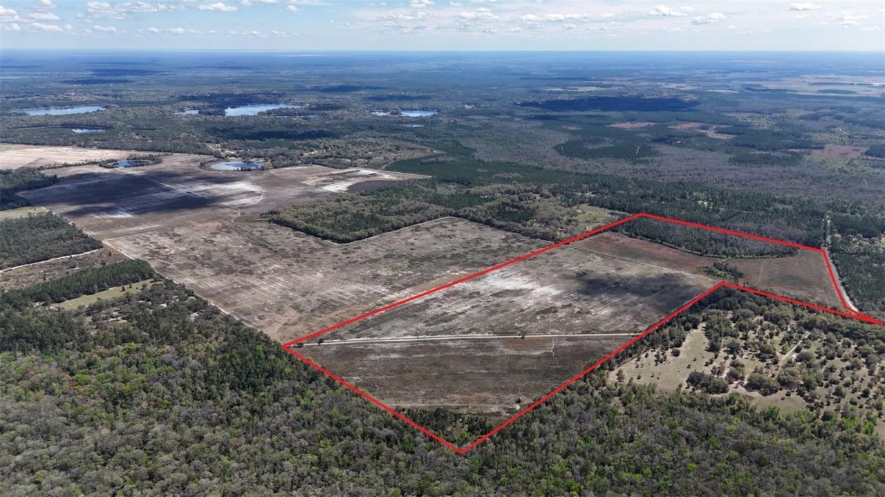 216ac NE 85th Ave Rd, Citra, FL 32113 Photo