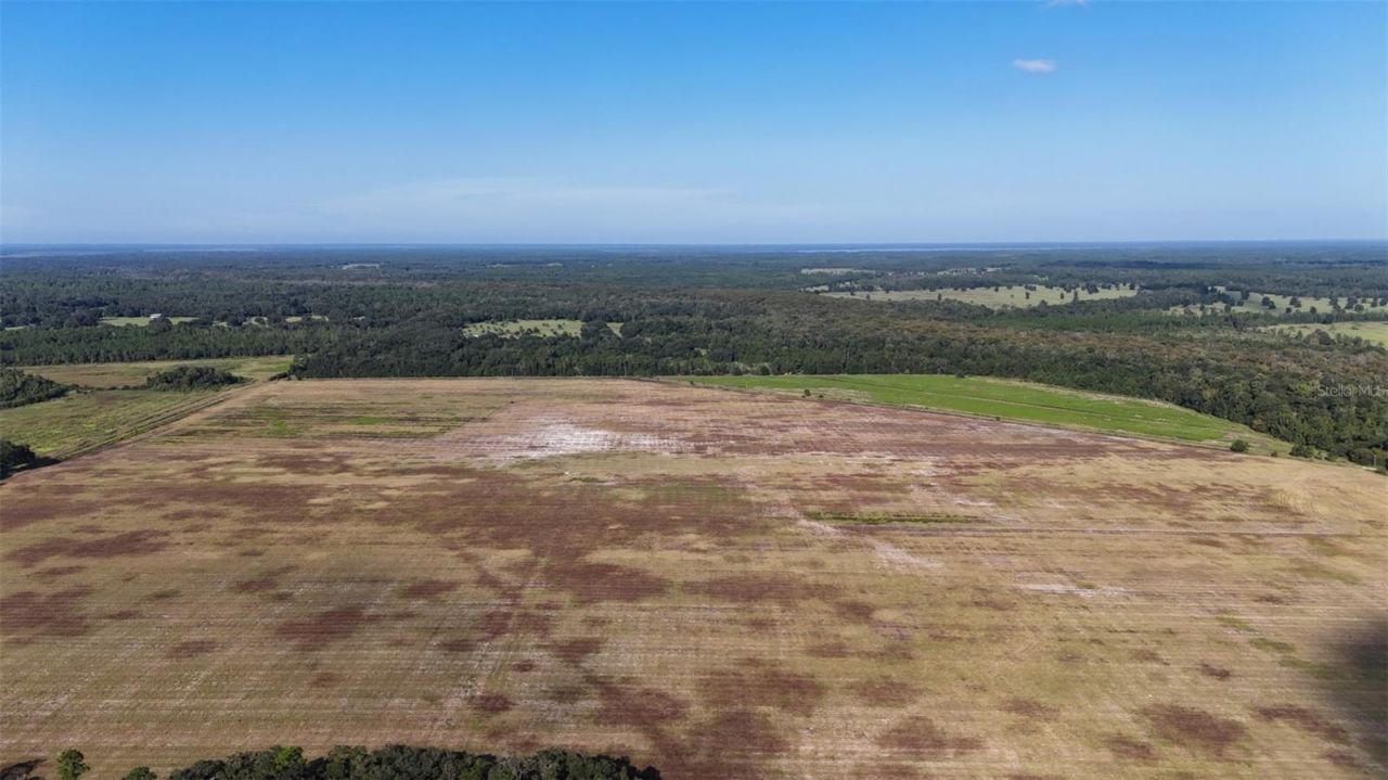 216ac NE 85th Ave Rd, Citra, FL 32113 Photo