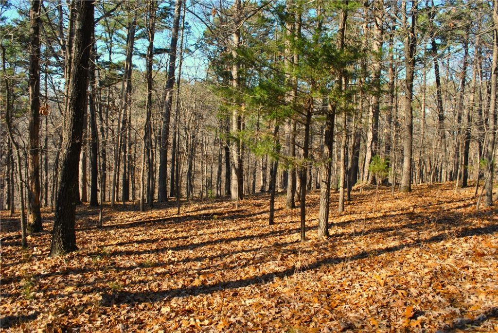 3.1 Acres Railroad Cut Road, Rogers, AR 72756 Main Photo