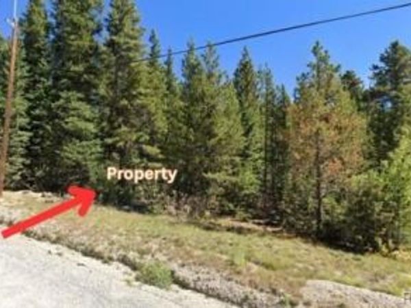 Lot 47 Silver Creek Road , Idaho Springs, CO 80452