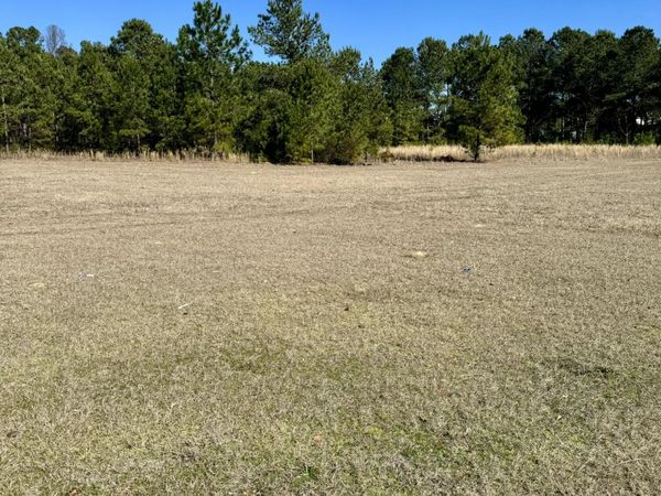 0 Dunbarton Boulevard, Barnwell, SC 29812