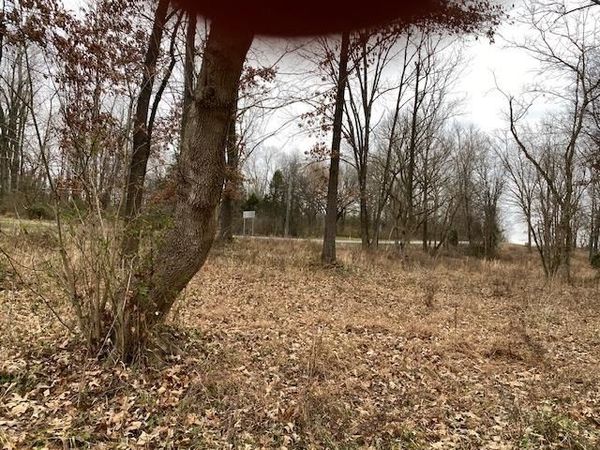 Lot 2 John Prine Avenue, Drakesboro, KY 42337