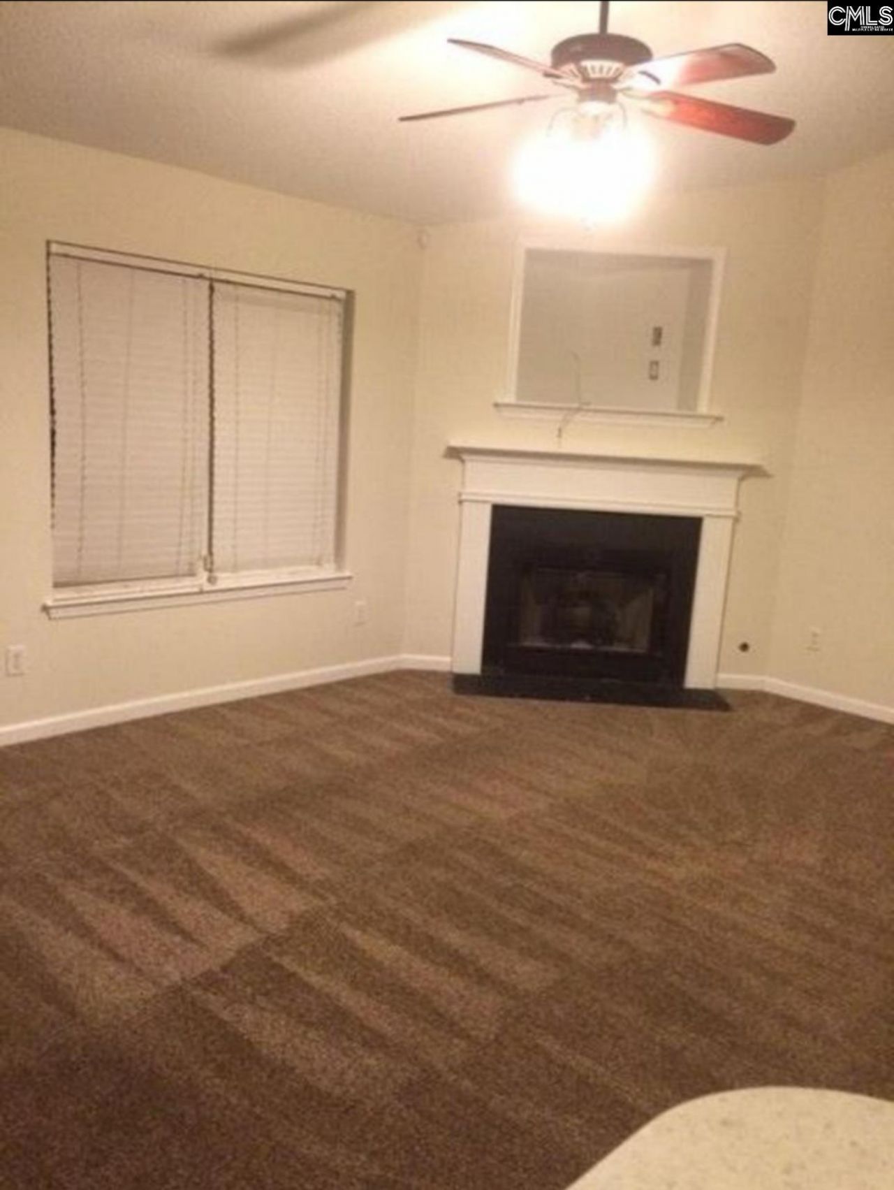 1019 Hamilton Place Circle  Photo 6