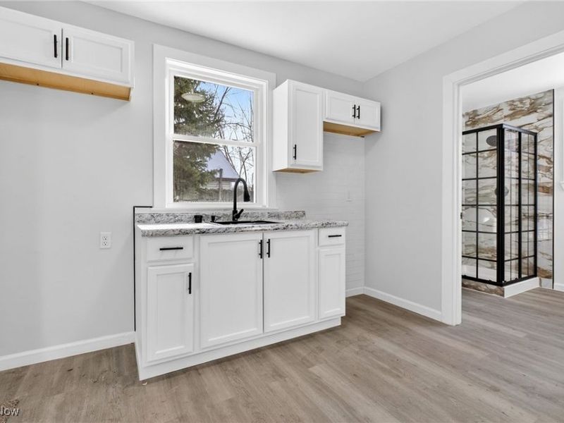 833 E 156th Street, Cleveland, OH 44110 Photo 43