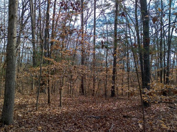 Tract 4 Armstrong Drive, Dandridge, TN 37725