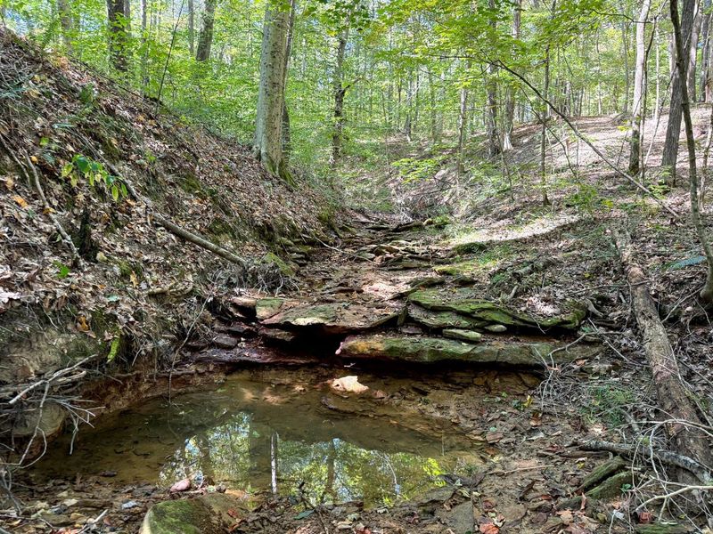 33747 Wolf Hill Road, Unit (Wolf Hill, McArthur, OH 45651 Photo 11