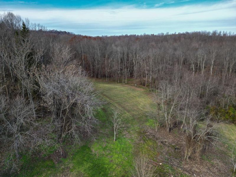 33747 Wolf Hill Road, Unit (Wolf Hill, McArthur, OH 45651 Photo 48