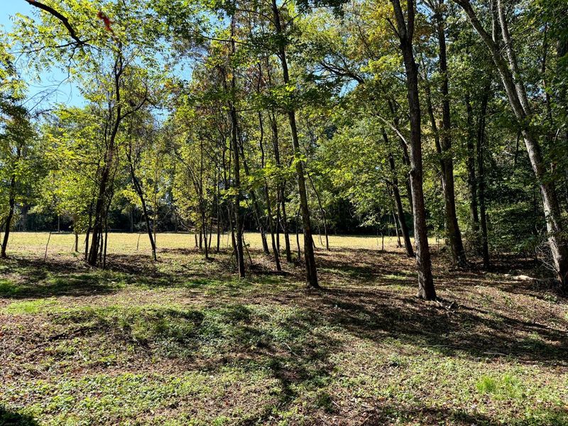 33747 Wolf Hill Road, Unit (Wolf Hill, McArthur, OH 45651 Photo 5