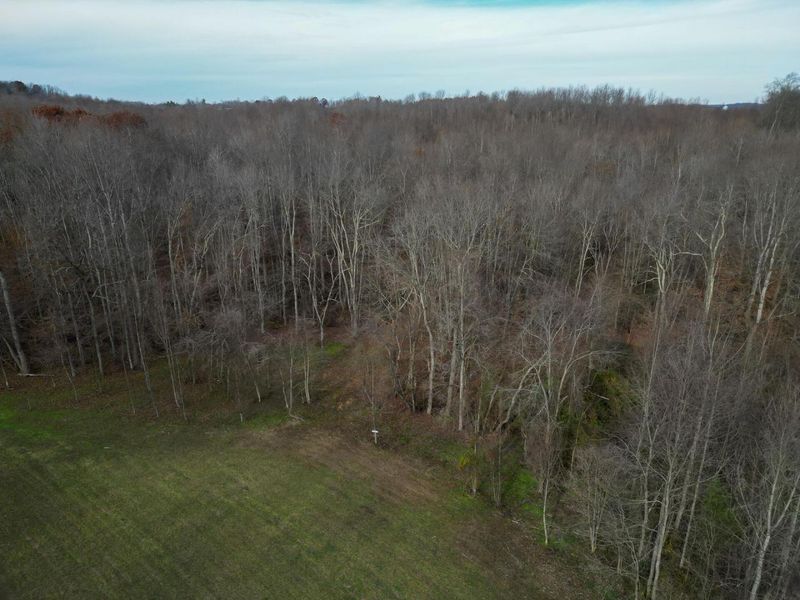 33747 Wolf Hill Road, Unit (Wolf Hill, McArthur, OH 45651 Photo 51